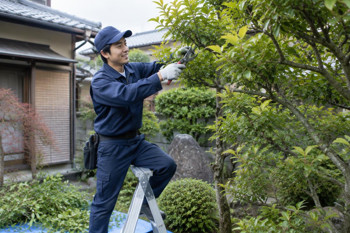 庭木・剪定のサービスイメージ